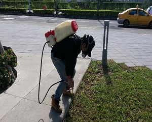 新北市板橋區遠揚營造螞蟻防治工程
